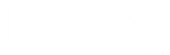 Group Photo Not Found!